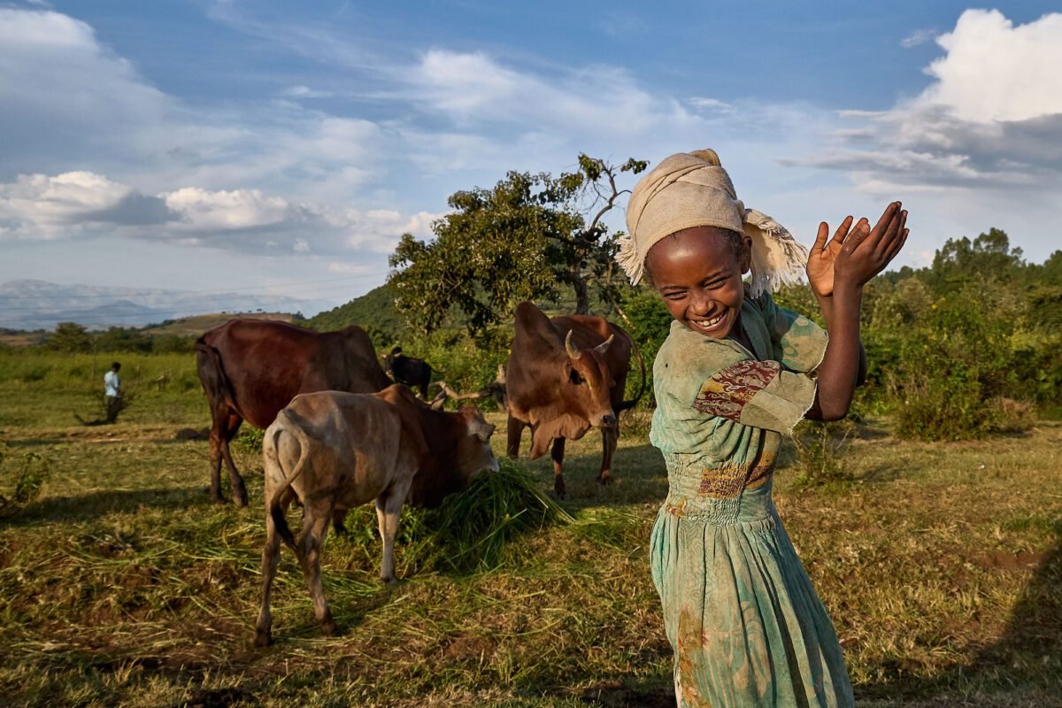 Zebu leather, by-product logic, and local value